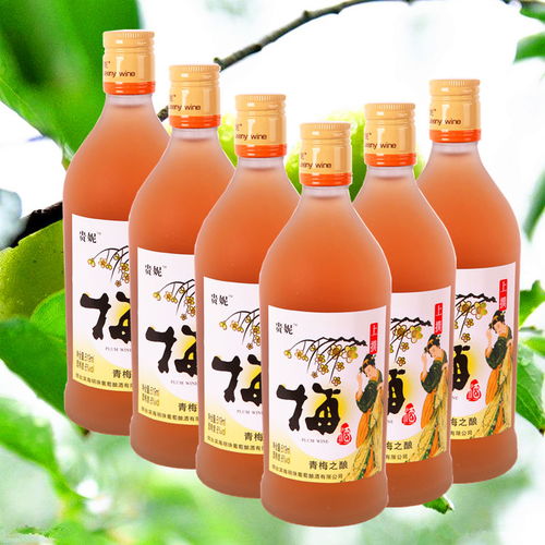 二瓶 貴妮楊梅酒青梅酒藍莓酒 鮮果之釀果酒