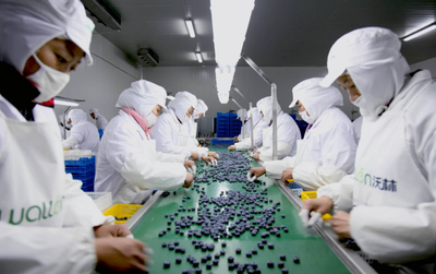 青島西海岸新區(qū)2021&ldquo;黃島藍(lán)莓季&rdquo;即將啟幕