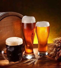 海珠多彩扎啤邀請(qǐng)你加盟