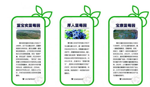 青島市唯一入選 新區(qū)寶山鎮(zhèn)獲第十批全國(guó) 一村一品 示范村鎮(zhèn)