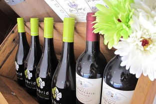 青島七號酒 藍(lán)莓酒香中的城市印記與味覺之旅